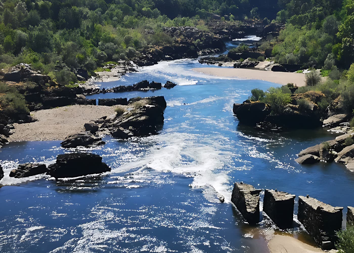 Pesca de Lambrea en el rio Miño, Tui Valença, España